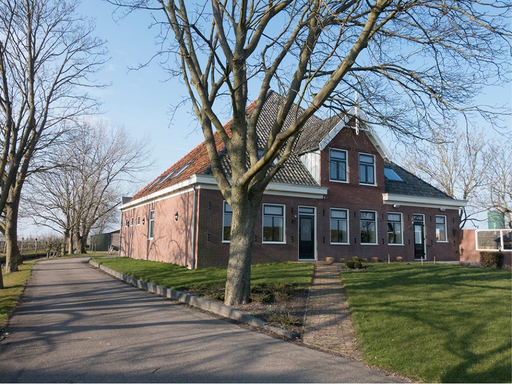 Projects of buro moon (rotterdam)